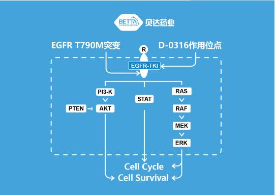 QQ截图20181228140542.jpg