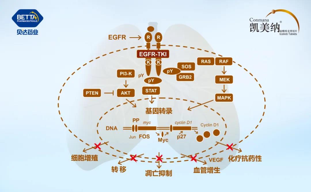 微信图片_20210720110314.jpg