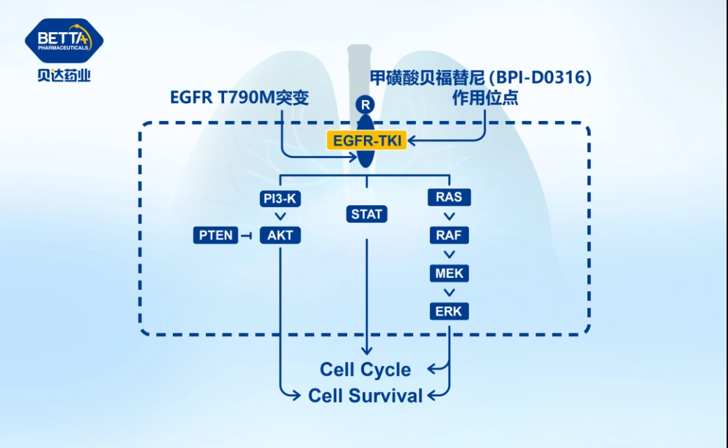 微信图片_20221118131555.bmp