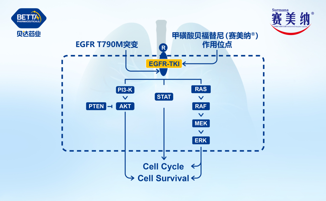 微信图片_20230717095249.jpg